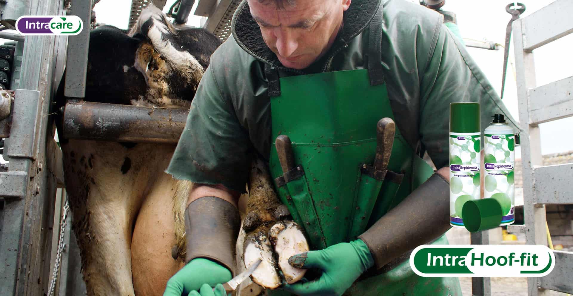 banner intra care hoof-fit repiderma categorie