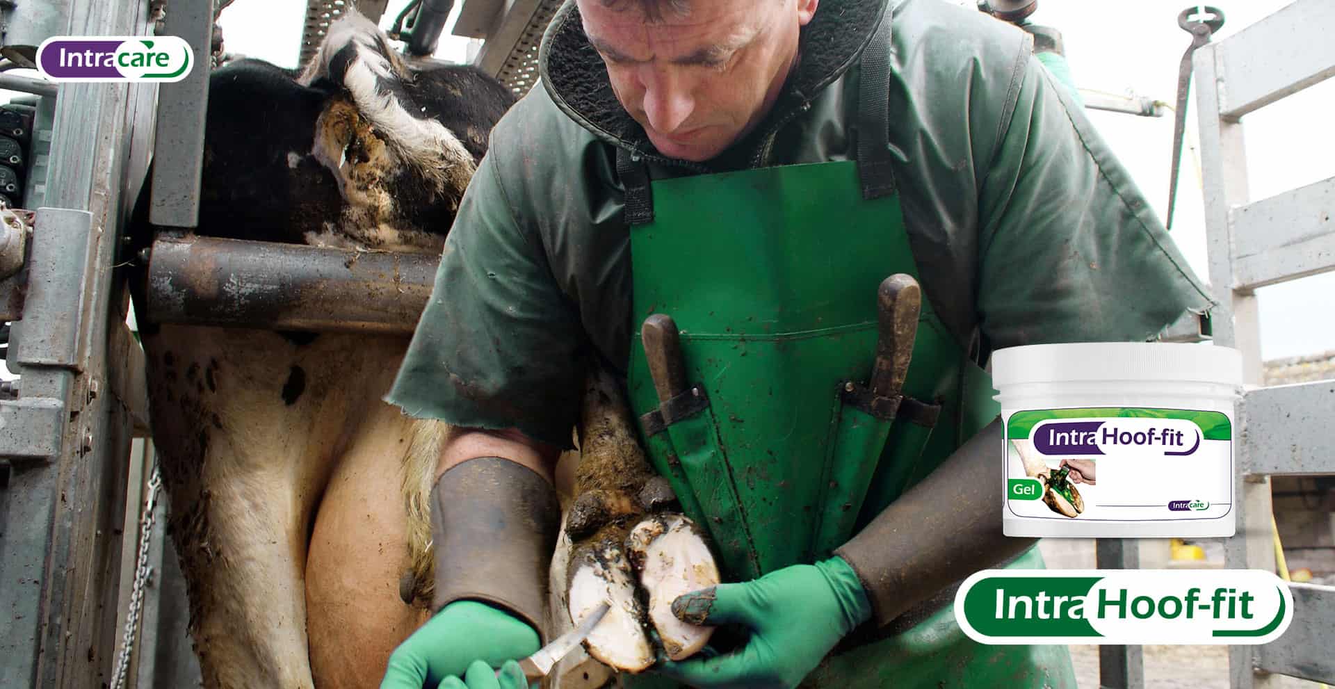 banner intra care hoof-fit gel categorie
