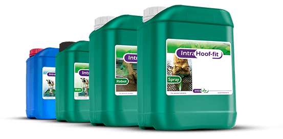 Intra Hoof-fit contact